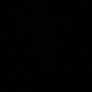 Meet your Posher, Frank